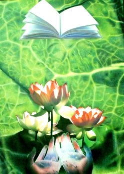 Lotus Çiçeği ve Kitap